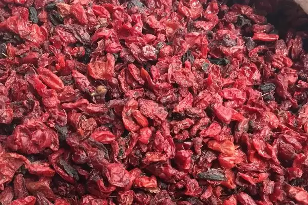 图片[5]-山茱萸种子怎么催芽？催芽山茱萸种子要掌握哪些有效的处理技巧？-会东网