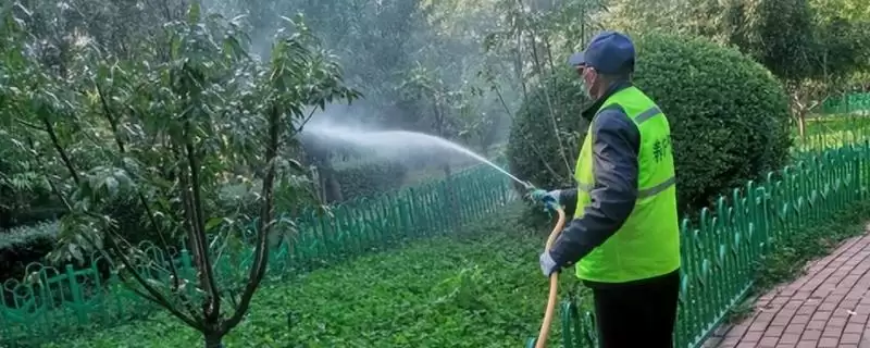 了解植物表面保护防冻专用剂特点的方法和重点？了解植物表面保护防冻专用剂特点要做好哪些细节？-会东网