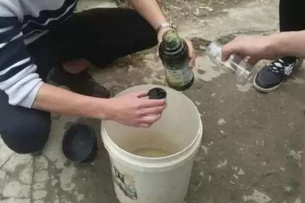 图片[3]-十滴水杀虫比例怎样配？使用十滴水杀虫要掌握哪些正确的配比方法？-会东网