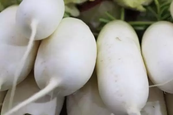 图片[7]-夏季适合种植蔬菜的种类和要点？夏季选种蔬菜需关注哪些品种？-会东网