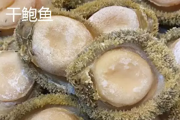 图片[3]-鲜鲍鱼和干鲍鱼区别的要点和对比？分辨鲜鲍鱼和干鲍鱼需注意什么？-会东网