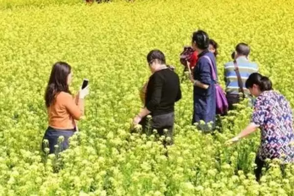 图片[2]-清明节风俗大观：各地不同风俗的文化内涵-会东网