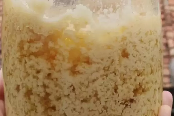图片[2]-了解枣花蜜结晶颜色的方法和重点？了解枣花蜜结晶颜色要做好哪些细节？-会东网