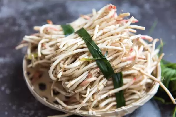 图片[5]-种植野菜的利润和前景？种植野菜需关注哪些经济收益前景？-会东网