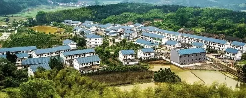 三农领域有哪八个短板？了解三农领域短板要知晓哪些关键薄弱环节？-会东网