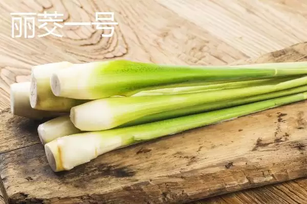 图片[8]-种植茭白的环境要求和要点？种植茭白需关注哪些环境要素？-会东网