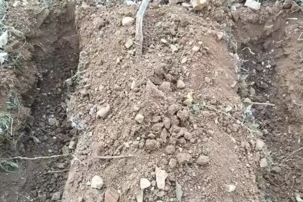 图片[4]-秋施底肥方法全解：底肥施用数量与土壤肥力关系-会东网