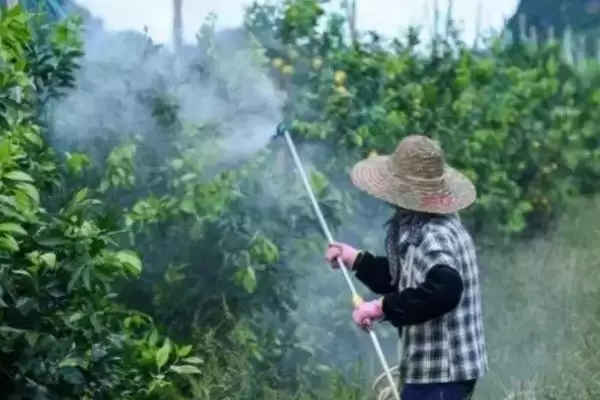 图片[2]-了解宇花灵2号药效的方法和重点？了解宇花灵2号药效要做好哪些细节？-会东网
