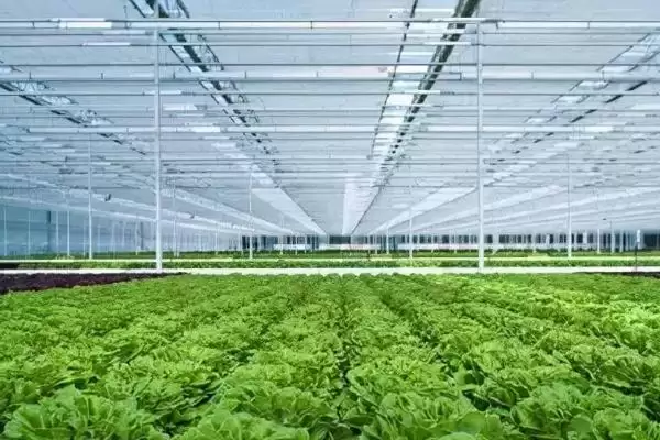 图片[4]-农业现代化的关键要素：掌握这7点，开启农业新征程-会东网