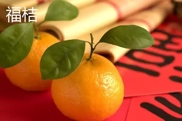 图片[6]-橘子的品种介绍 ,不同产地的橘子品种有何特色呢？-会东网