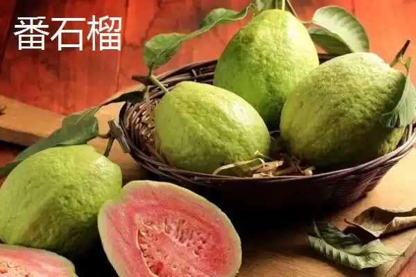 图片[2]-石榴还是番石榴更好吃？比较石榴和番石榴口感要关注哪些要点？-会东网