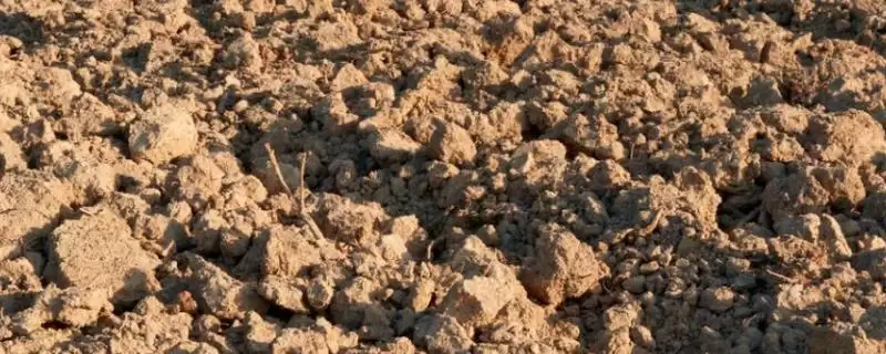 如何快速改良土壤板结？改良土壤板结要运用哪些快速有效的方法？-会东网