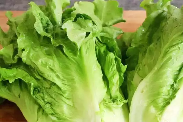 图片[2]-芒种前后适合种什么蔬菜 ,芒种可种哪些常见蔬菜-会东网