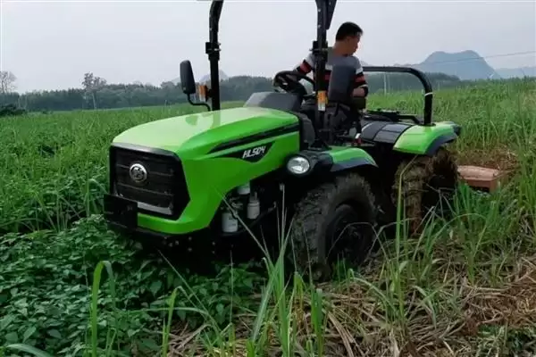 图片[3]-快速除草的省力省时方式 ,喷施药剂除草有何优势呢？-会东网