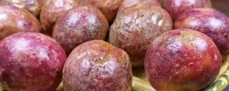 储存百香果的方法和重点？储存百香果要做好哪些细节？-会东网