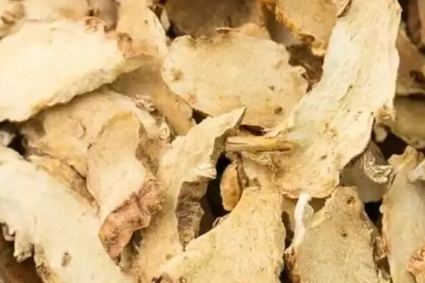 图片[4]-了解知母种植注意事项的方法和重点？了解知母种植注意事项要做好哪些细节？-会东网