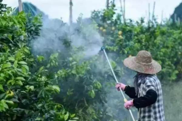 图片[2]-如何正确施用微生物农药？施用微生物农药要遵循哪些正确的使用方法？-会东网