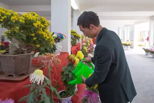 图片[4]-如何防治菊花黑斑病？养护菊花防治黑斑病要采用哪些防治方法？-会东网