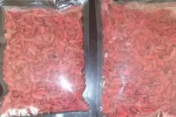 图片[8]-新鲜枸杞能否食用的要点和判断？判断新鲜枸杞食用性需注意什么？-会东网