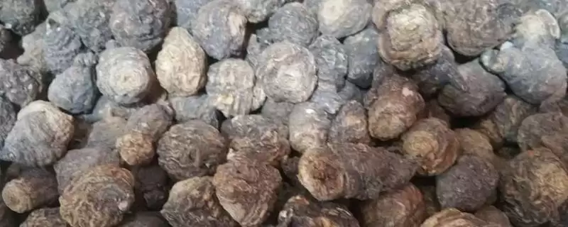 玛卡的产地在哪里 ,玛卡原产于哪个山脉地区-会东网