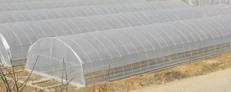 塑料棚膜有哪些种类？认识塑料棚膜要了解哪些常见的种类和性能特点？-会东网