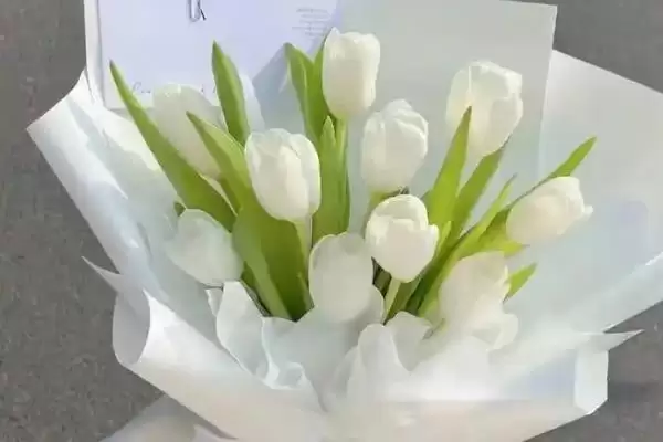 图片[3]-了解郁金香花语的方法和重点？了解郁金香花语要做好哪些细节？-会东网