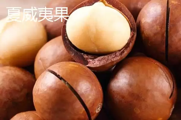 图片[6]-坚果的种类 ,常见的坚果包括哪些种类-会东网