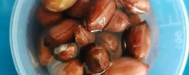 判断用花生米钓鱼是否要煮熟的方法和重点？判断用花生米钓鱼是否要煮熟要做好哪些细节？-会东网