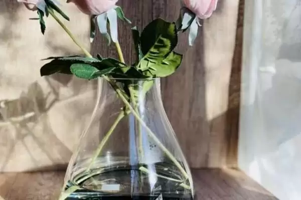 图片[4]-玫瑰花的水养方法是怎样的呢 ,玫瑰花水养需每隔 2-3 天换一次水-会东网