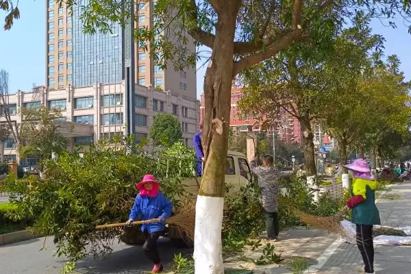 图片[5]-树干被虫蛀了如何处理？处理树干被虫蛀问题要采取哪些有效的防治措施？-会东网