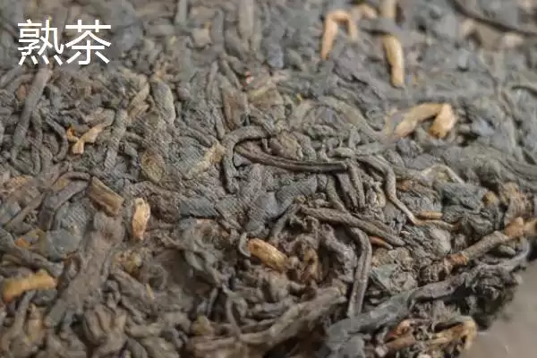 图片[6]-普洱茶产地揭秘：主产于云南省的独特韵味-会东网