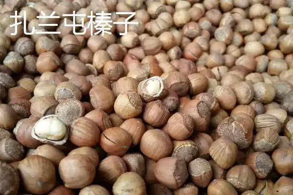 图片[6]-认识扎兰屯市特产的方法和重点？认识扎兰屯市特产要做好哪些细节？-会东网