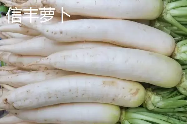 图片[5]-江西赣州市的特产 ,江西赣州市有什么代表性特产-会东网