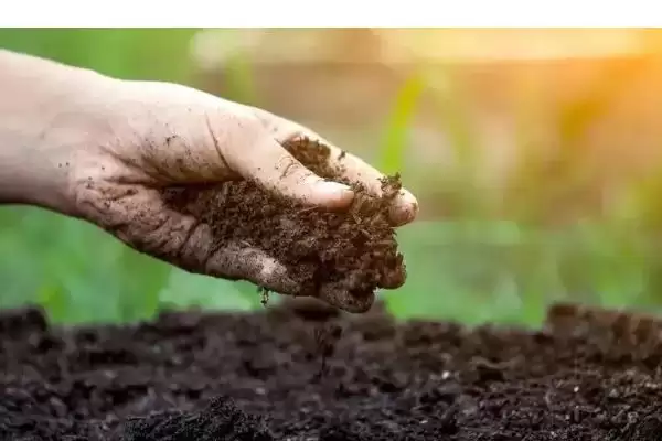 图片[4]-土壤活化剂有没有毒？判断土壤活化剂是否有毒要了解哪些化学特性和安全要点？-会东网