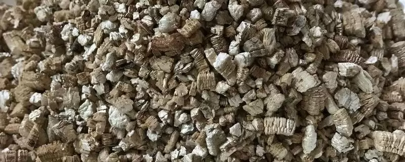 认识蛭石的方法和重点？认识蛭石要做好哪些细节？-会东网