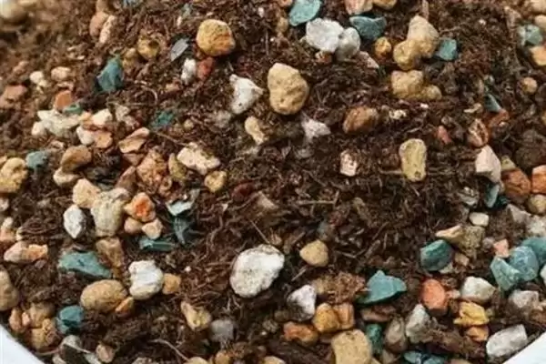 图片[7]-叶插朱紫玉的方法和重点？叶插朱紫玉要做好哪些细节？-会东网