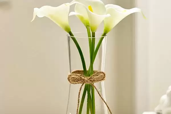 图片[3]-紫色马蹄莲花语的含义和要点？理解紫色马蹄莲花语需关注什么？-会东网