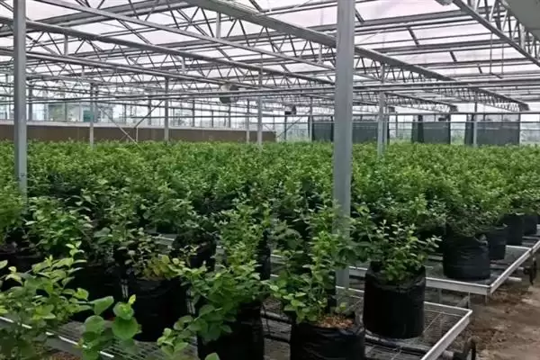 图片[8]-未来现代农业业态？探索未来现代农业业态要分析哪些科技、市场和政策影响因素？-会东网