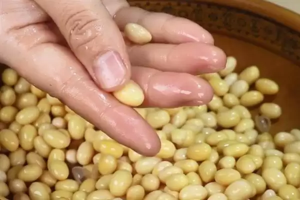 图片[6]-制作肥料的方法和重点？制作肥料要做好哪些细节？-会东网