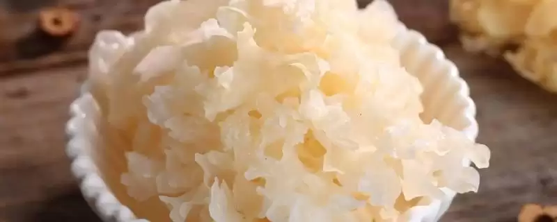 我国哪些地方产银耳？了解我国银耳产地要知晓哪些主要的地域分布和生长环境信息？-会东网