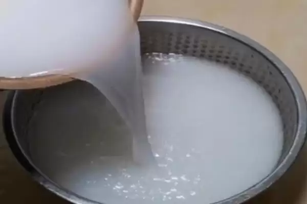 图片[8]-认识摇钱树外观的方法和重点？认识摇钱树外观要做好哪些细节？-会东网
