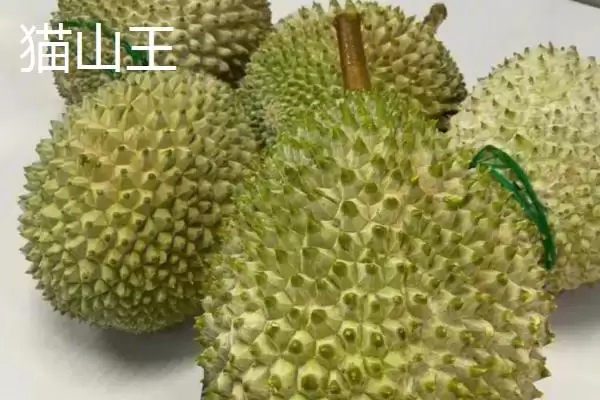 图片[4]-榴莲的英文名称 ,榴莲的英文名称是怎么来的呢？-会东网
