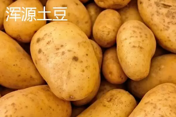 图片[5]-山西省浑源县的特产？认识山西省浑源县特产要探究哪些特色物产？-会东网