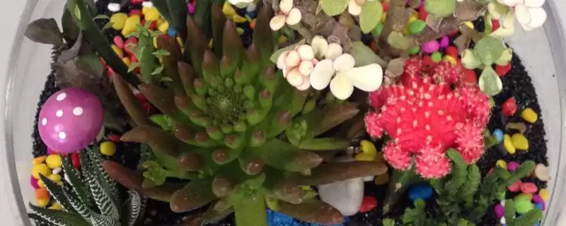 细沙养花的可行性 ,细沙养花有哪些具体的好处呢？-会东网