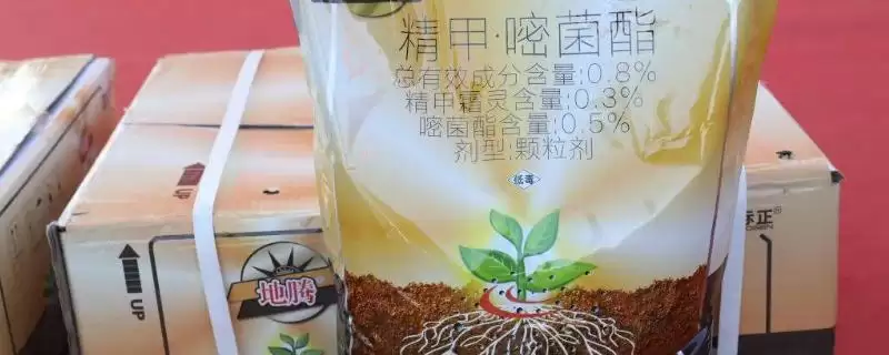 精甲嘧菌酯的灌根问题 ,精甲嘧菌酯能不能用来灌根呢-会东网