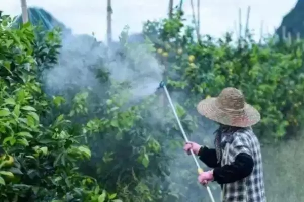 图片[2]-使用戊二醛要注意什么？使用戊二醛要掌握哪些关键的使用和安全要点？-会东网