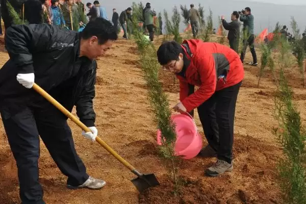 图片[3]-清明节风俗大观：各地不同风俗的文化内涵-会东网