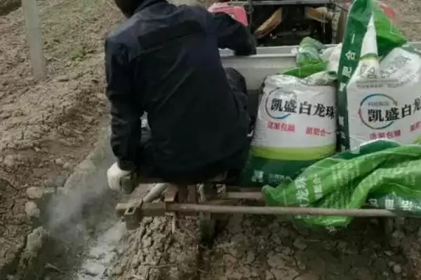 图片[2]-秋施底肥方法全解：底肥施用数量与土壤肥力关系-会东网