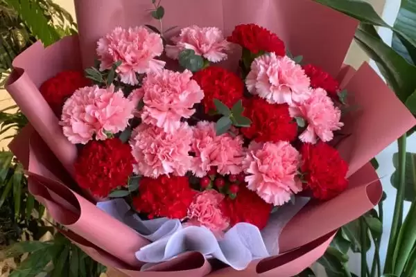 图片[2]-女王节花卉选择指南：康乃馨、百合花等传递美好祝福-会东网