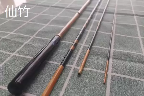 图片[2]-国产并继竿排名推荐：仙竹、孤竹等品牌的性能优势-会东网
